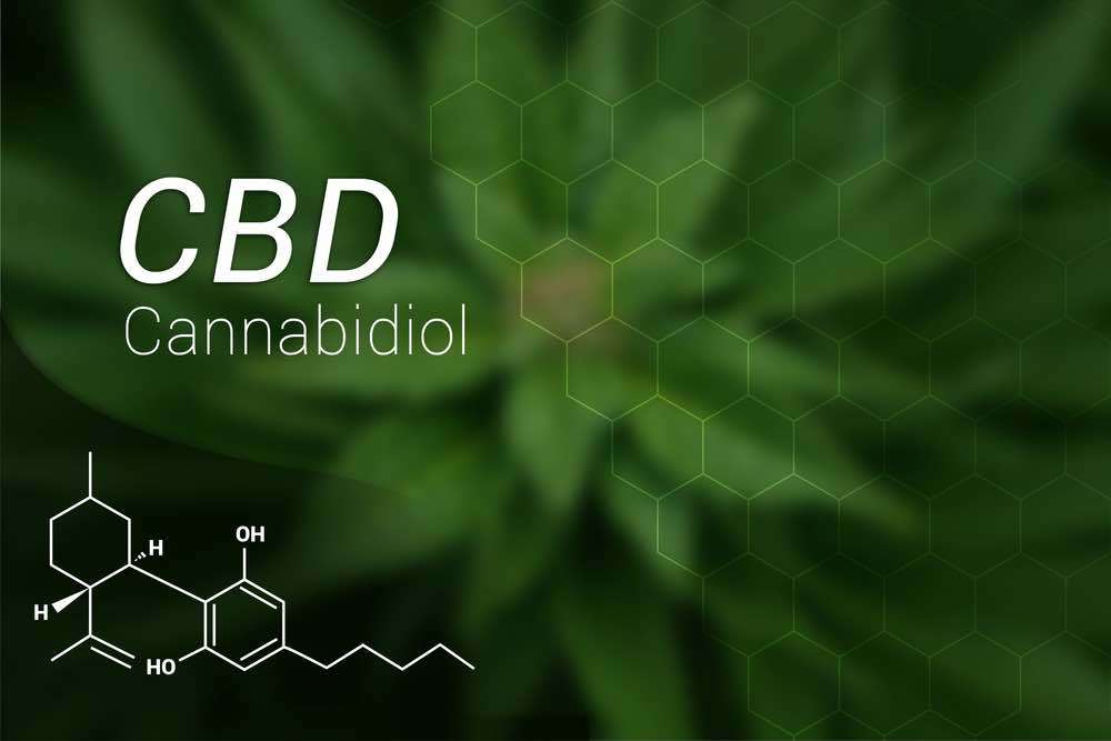 CBD oil is applied for reducing pain